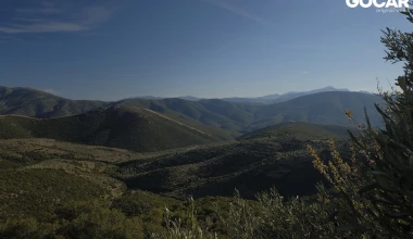 Peugeot 208 1.2 Puretech 110 EAT6. Μην αγοράσεις σουπερμίνι, αν δεν το οδηγήσεις! (vid)