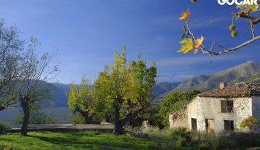 Peugeot 208 1.2 Puretech 110 EAT6. Μην αγοράσεις σουπερμίνι, αν δεν το οδηγήσεις! (vid)