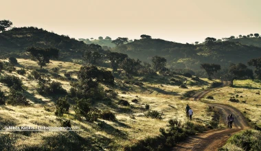 Σκόρπια καρέ από την Πορτογαλία