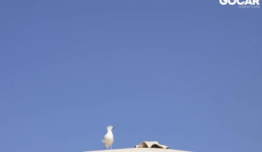 Με την Stelvio στο δικό μου Στέλβιο