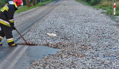 6 περίεργα πράγματα που έπεσαν στη μέση του δρόμου