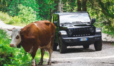 “Βούλιαξε” από πλήθος επισκεπτών και θρυλικά μοντέλα το Camp Jeep 2019 (vid)