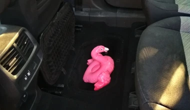 Πού κρύβεται το flamingo, στο Berlingo;