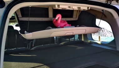 Πού κρύβεται το flamingo, στο Berlingo; 