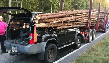 Και όμως ο οδηγός βγήκε ζωντανός!
