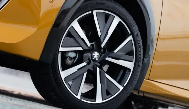 Νέο 208: Η επιβλητικότητα του λιονταριού χαραγμένη σε μέταλλο