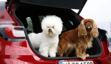 Ford Puma: Mega πρακτικότητα με το MegaBox