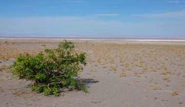 Λίθιο: Μάθε τα πάντα για το βασικό συστατικό των μπαταριών στα σύγχρονα ηλεκτρικά οχήματα