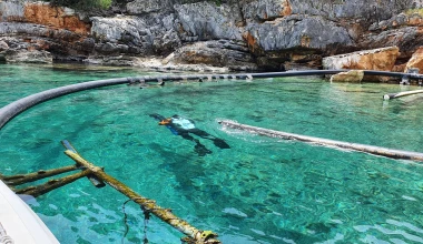 Σημαντικές πρωτοβουλίες από την Hyundai για την Παγκόσμια Ημέρα Ωκεανών