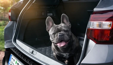 H Opel προσφέρει πλήθος αξεσουάρ για το νέο Grandland 