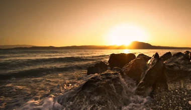 VIDEO: WRC Full Season Review 2013