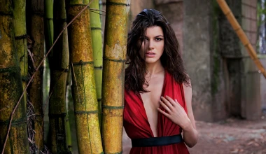 50 Χρόνια Ημερολόγιο Pirelli

