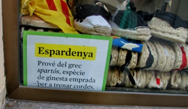 ΡΑΛΛΥ ΚΑΤΑΛΟΝΙΑΣ: Το ζήσαμε κι αυτό!