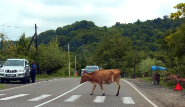 ROUTE 2012: Τιφλίδα