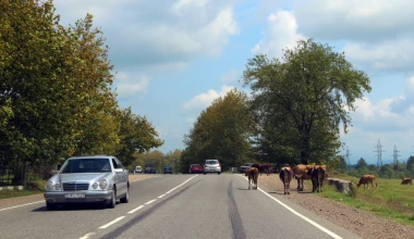 ROUTE 2012: Τιφλίδα