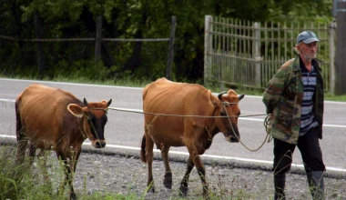 ROUTE 2012: On the way back