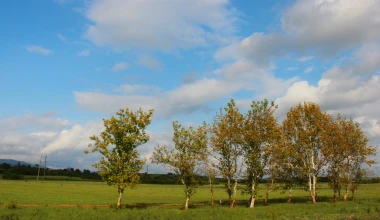 ROUTE 2012: On the way back