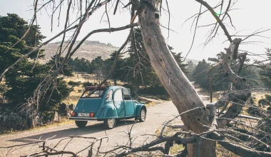 Ένα 2CV στον δρόμο του Cactus