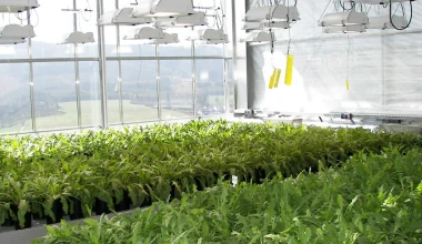 Continental: Αλλάζουν τα δεδομένα στα λάστιχα