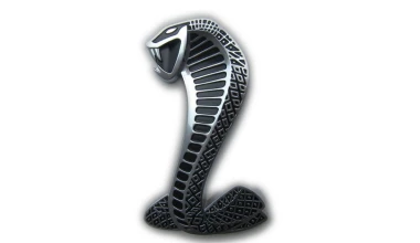 Ford Mustang Shelby GT500 @ Brands Hatch