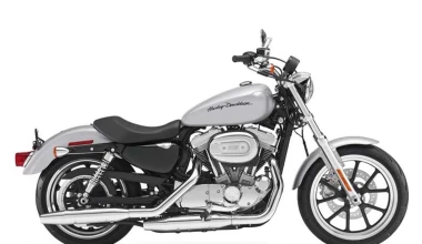 Iron horse ΙΙΙ*: Harley Davidson