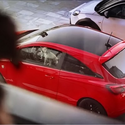 Έρωτας με την πρώτη ματιά!