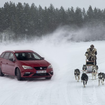 300 άλογα και 6 σκυλιά στα χιόνια (video)