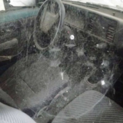 Η φάρμα στην Βραζιλία που φιλοξενεί 60 παρατημένα ταξί