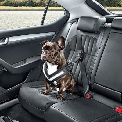 Η Skoda σκέφτεται και τους… σκύλους!