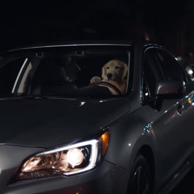 Που πάει αυτός ο σκύλος; (Video)