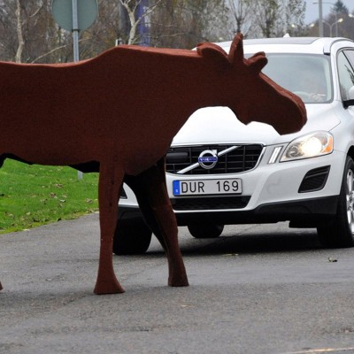 Πραγματική αποφυγή… ταράνδων (video)
