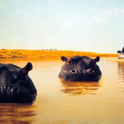 Αγορά αυτοκινήτου: Ανάταση, ευκαιρίες και παγίδες