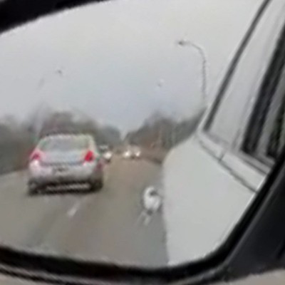 Αδιανόητο: Οδηγός στις ΗΠΑ κυκλοφορούσε σε αυτοκινητόδρομο… με την όπισθεν (vid)