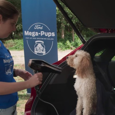 Υπηρεσίες περιποίησης σκύλων μέσα στο Ford Puma! (video)