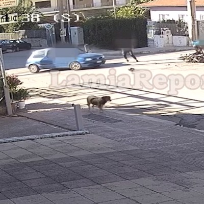 Αδιανόητο τροχαίο στη Λαμία: Χτύπησε τον ντελιβερά και μετά κυνηγούσε το ΙΧ [video]