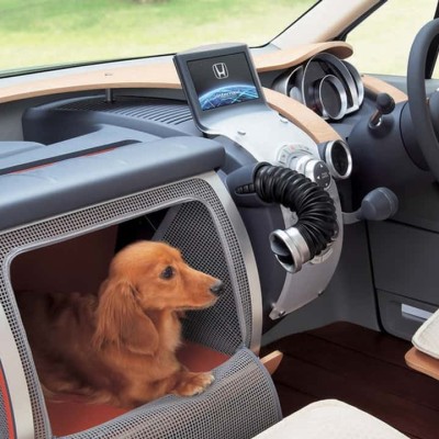 Έχεις κατοικίδιο; Αυτό είναι το ιδανικό αυτοκίνητο για εσένα!