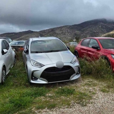 Αστυνομία: Βρήκε 36 κλεμμένα αυτοκίνητα – Δείτε πού [video]