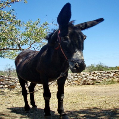 Ο Λιάπης “έγραψε” στο twitter