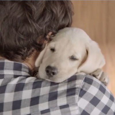 Videο: «Κάποιοι θα περιμένουν για πάντα»