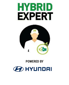 hybrid expert